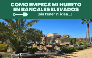 Huerto en bancales elevados en casa de campo con palmeras y cultivos en crecimiento