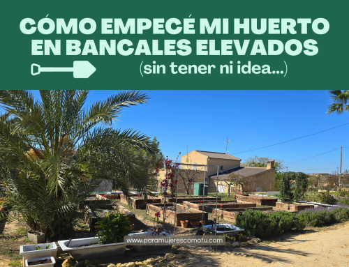 Cómo empecé mi huerto en bancales elevados (sin tener ni idea)
