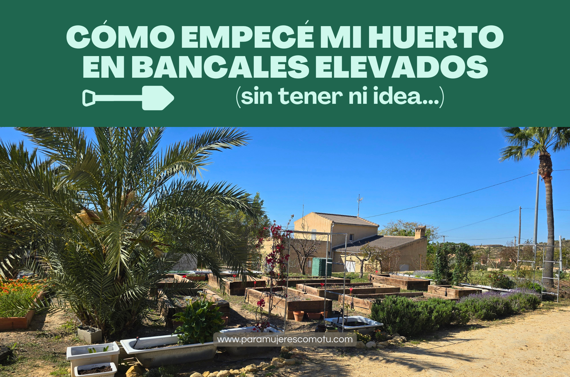 Huerto en bancales elevados en casa de campo con palmeras y cultivos en crecimiento