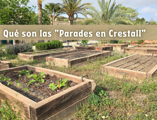 Qué son las “Parades en Crestall”