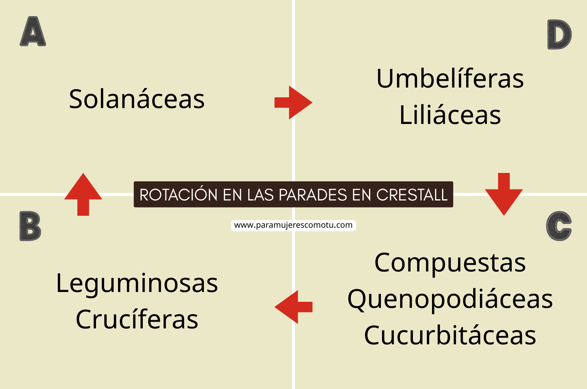 Esquema de rotación de cultivos en parades en crestall con distribución de familias por bancales