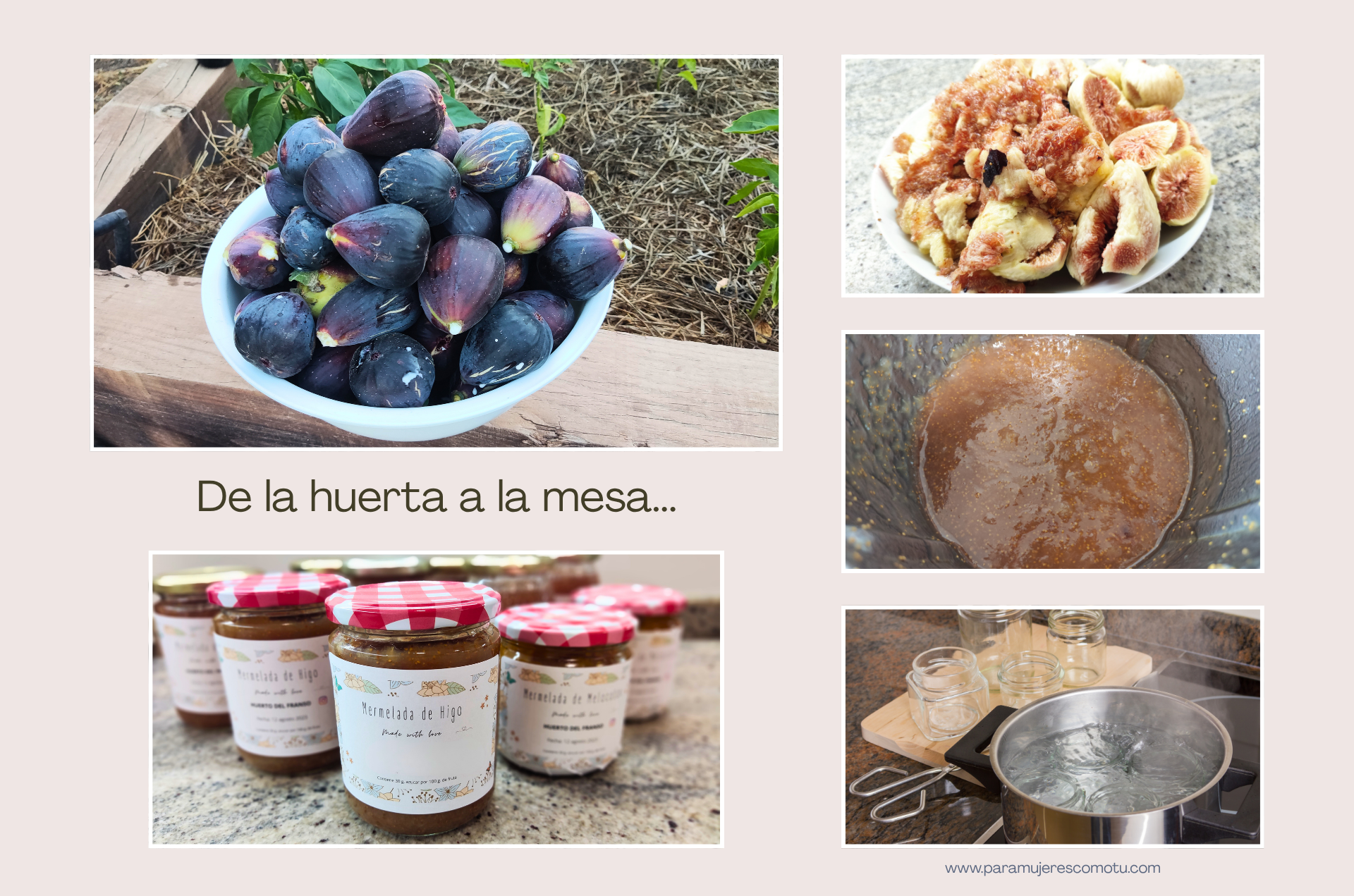 Proceso de elaboración de mermelada casera de higo desde la recolección hasta el envasado