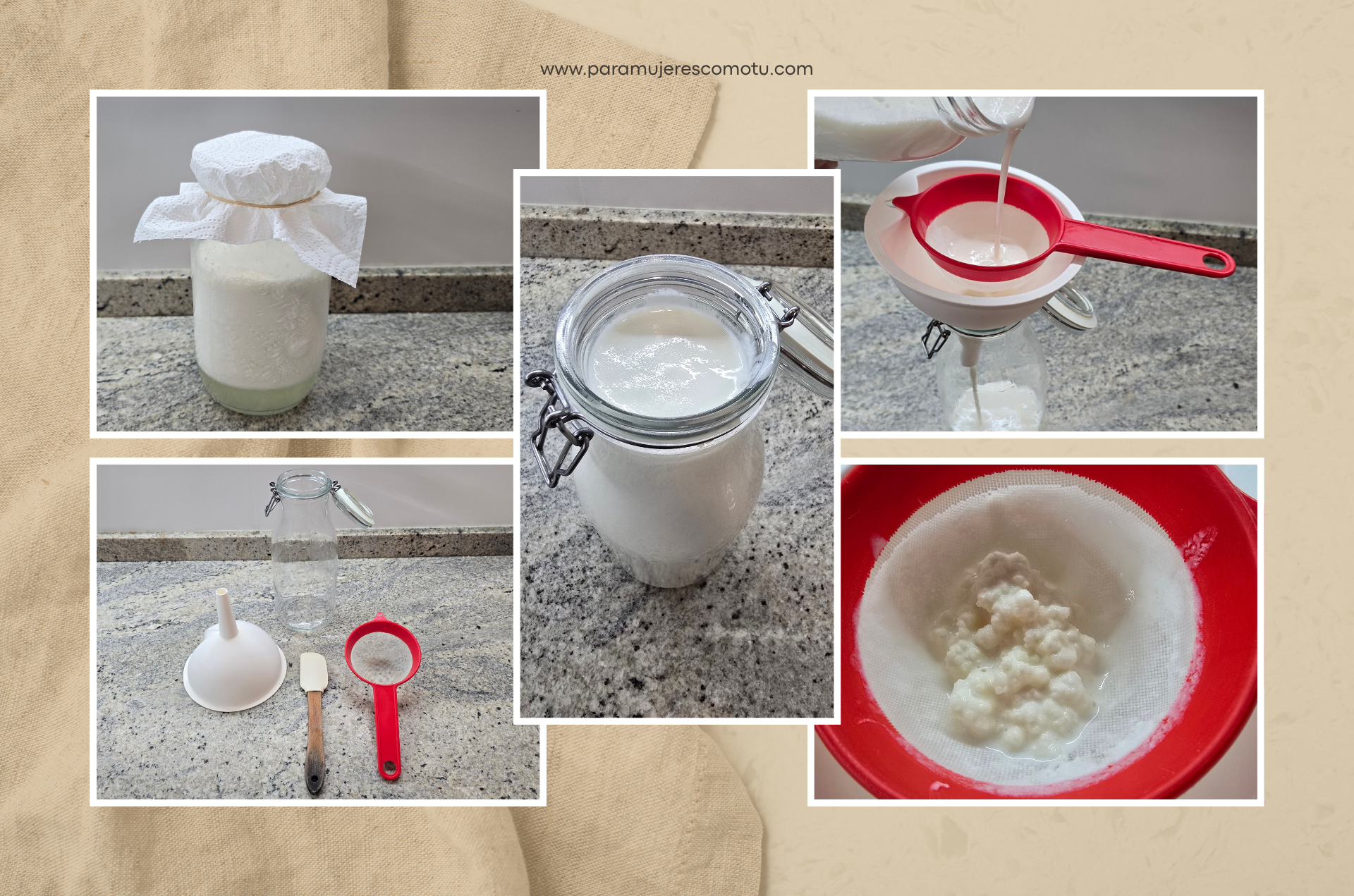 Proceso para hacer kéfir de leche en casa y separar los nódulos